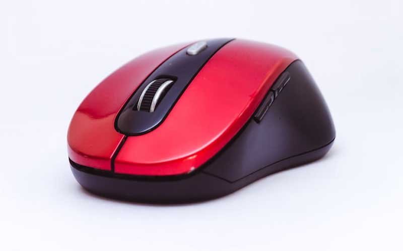 Mouse