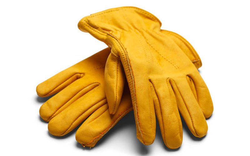 Gloves