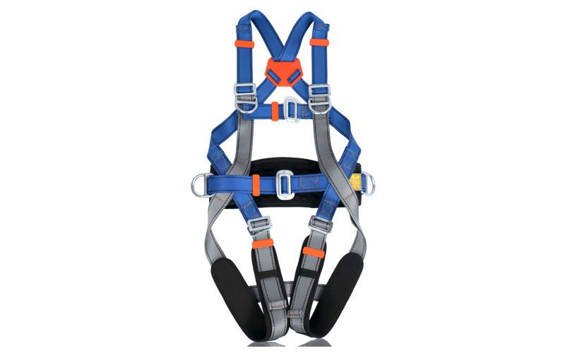 Harness