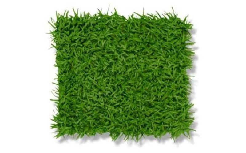 Grass Floor Mat