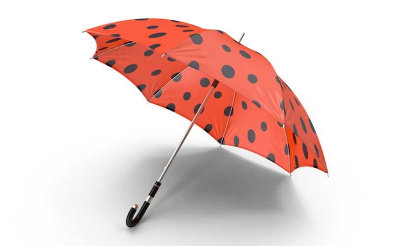 Umbrella